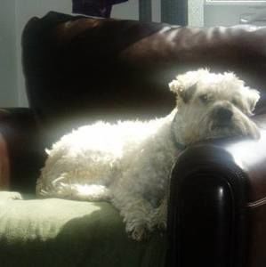 Meet your Posher, Joann